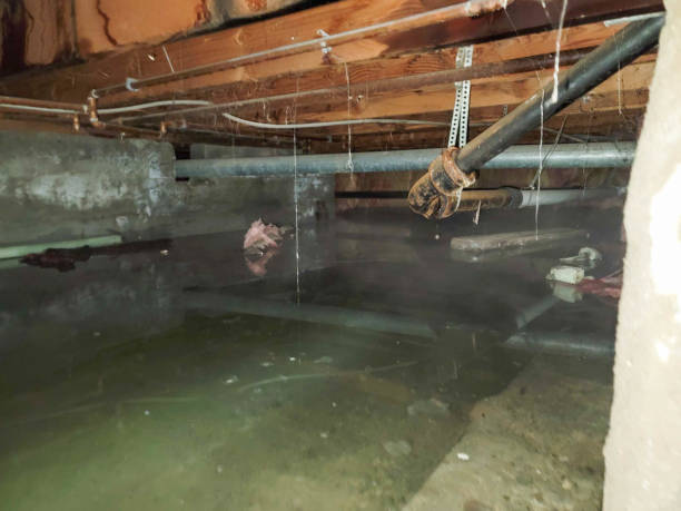 Professional Water damage restoration in South Barre, VT