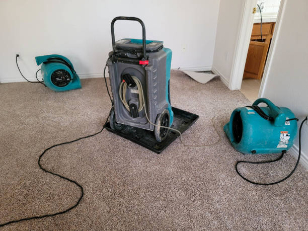 Best Ceiling water damage repair  in South Barre, VT