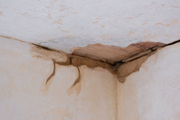 Water damage restoration mold remediation in South Barre, VT