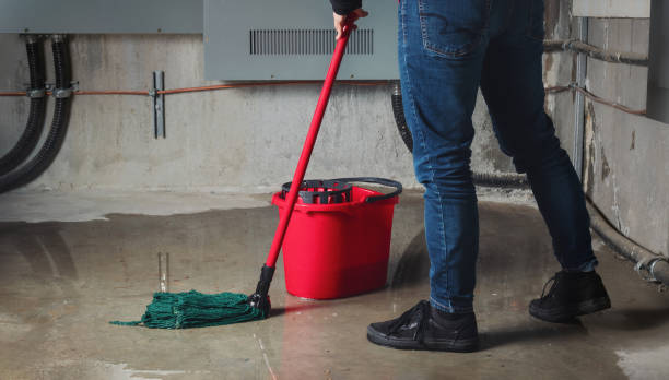 Best Flood restoration services  in South Barre, VT
